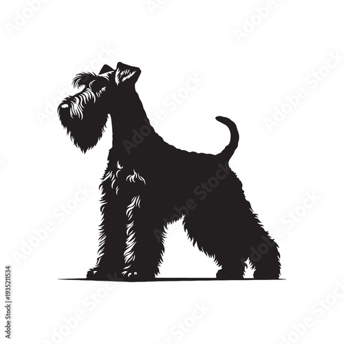 Irish Terrier Dog Vector Silhouette – Purebred Terrier Outline - Irish Terrier Dog Illustration.