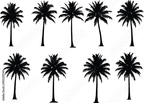Collection of Eight Black Silhouette Palm Trees on a White Background tropical nature