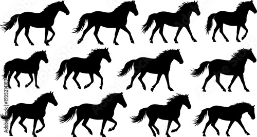 Wild Horse Silhouette Set – Running, Rearing, Jumping & Standing Stallion Vector Clipart