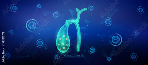 Translucent polygon gallbladder organ connected medical technology network icons. Cyborg human collaboration. Health care technology digital. Banner vector.