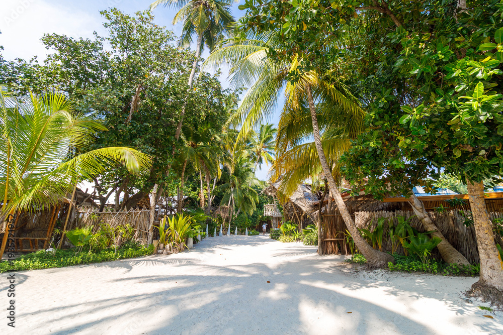 Fototapeta premium Lush palms line a sunlit gravel path
