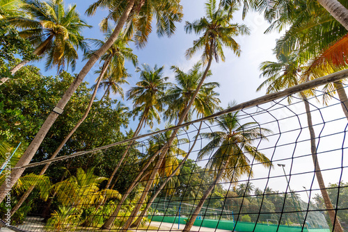 Tropical beach volleyball court surrounded by palm trees under blue sky. Exotic summer landscape with sunlight and green foliage. Travel vacation concept