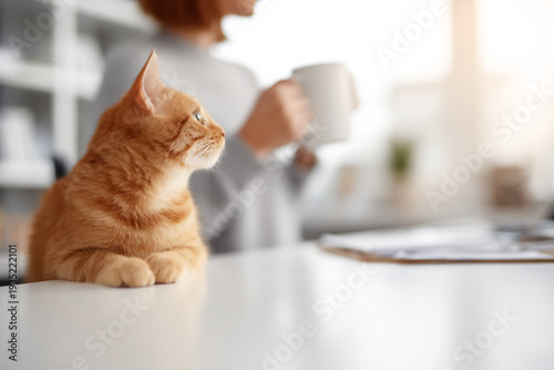 Ginger cat resting on table while woman drinks coffee with copy space