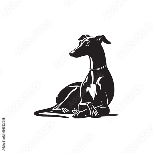 Elegant Italian Greyhound Silhouette – Sleek and Graceful Toy Sighthound Illustration.