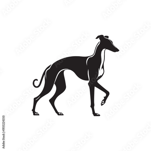 Elegant Italian Greyhound Silhouette – Sleek and Graceful Toy Sighthound Illustration.