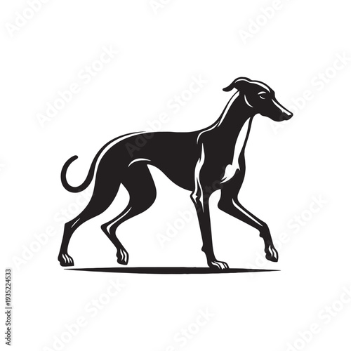 Elegant Italian Greyhound Silhouette – Sleek and Graceful Toy Sighthound Illustration.