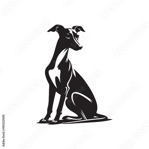 Elegant Italian Greyhound Silhouette – Sleek and Graceful Toy Sighthound Illustration.
