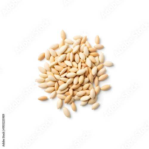 Photorealistic vegetable seeds arranged in a minimal line, growth inspiration