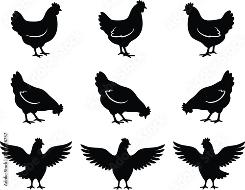 Black Silhouette Chicken Set Various Poses.