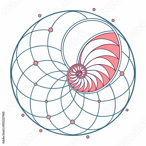Nautilus Shell Fibonacci Spiral Geometric Pattern with Pink and Teal Accents, Sacred Geometry, Growth, Nature