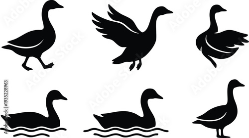 Black Silhouette Ducks in Various Positions.