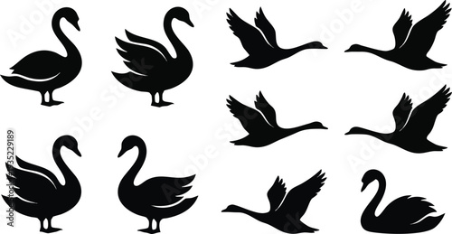 Black Silhouette Swans in Various Poses.