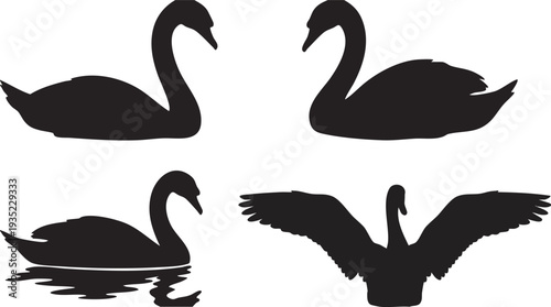 Black Swan Silhouettes in Various Poses.