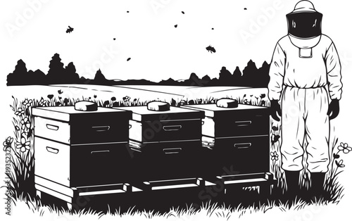 Beekeeper standing next to beehives in a field illustration