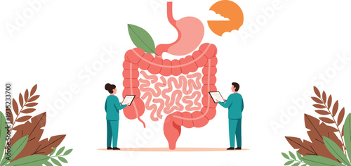 Flat vector illustration of doctors examining human digestive system with stomach and intestines for medical health education concepts.