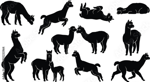 Various Silhouettes of Llamas in Action.