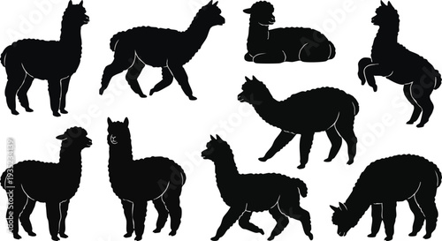 Alpacas in Various Poses Silhouette Collection.