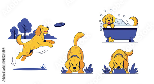 Golden Retriever Dog Set: Playing, Bathing, and Relaxing