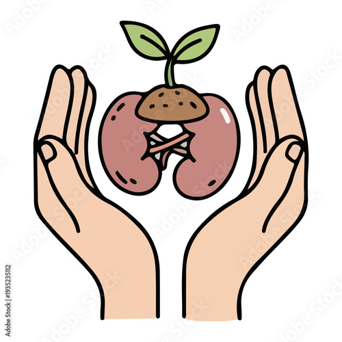 Kidney Health Growth Concept