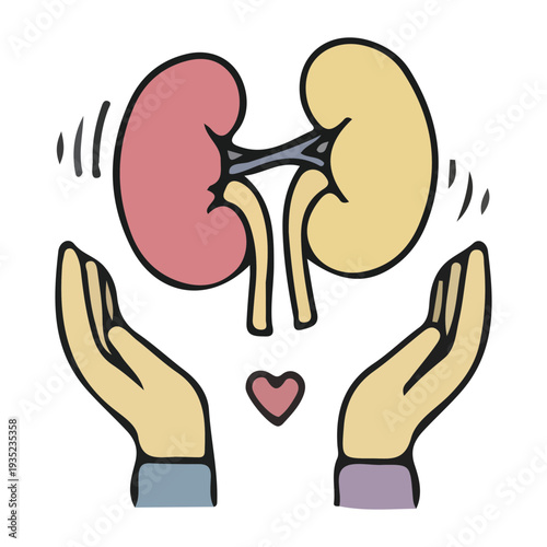 Kidney Health Care Icon