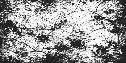 Artistic black and white abstract background featuring a grungy ink splash design with a vintage floral silhouette and a dirty paint texture border