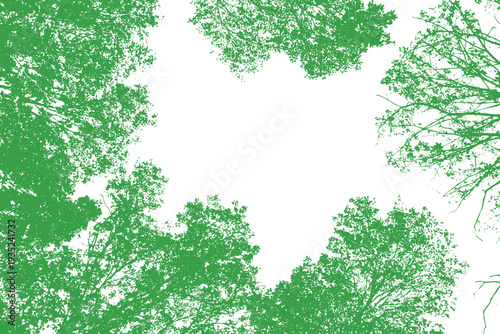 上空を囲む木のシルエット