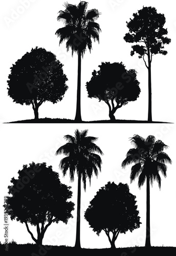 Black tropical tree and palm silhouette set forming scenic forest landscape vector illustration isolated on white background for logo, print and design use