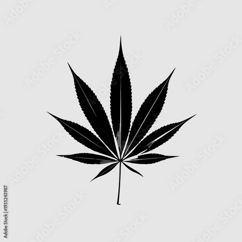 Black cannabis leaf silhouette isolated on gray background.