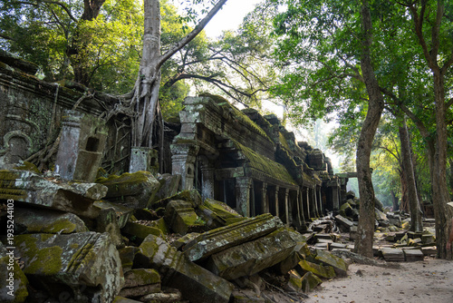 Ancient temple complex crumbling due to huge tree roots in overgrown jungle