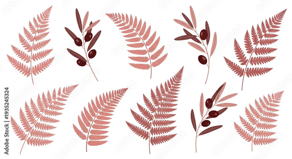 Obraz premium Elegant botanical collection of stylized fern leaves and olive branches in warm, rustic tones, ideal for serene nature-themed graphic design concepts and decorative accents