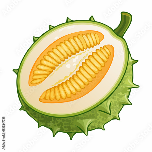 A digital illustration of a durian fruit cut open to reveal its spiky green exterior and creamy yellow flesh inside, viewed from directly above.