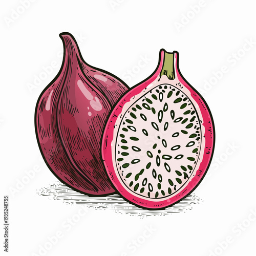 A detailed illustration of a whole and halved dragon fruit, showcasing its vibrant red skin and white interior with black seeds, from a front viewpoint.
