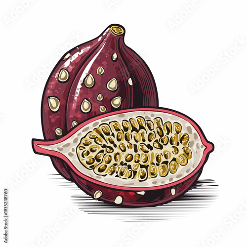 Detailed illustration of a passion fruit cut open revealing its seeds and pulp