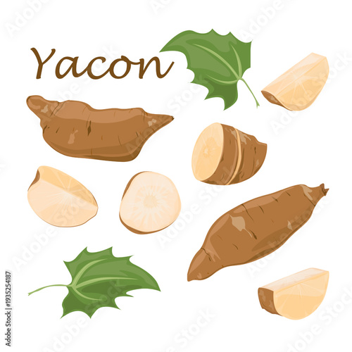 Yacon Andean Root Vegetable with Sweet Crunchy Flesh