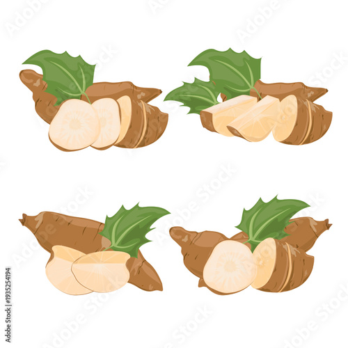 Set Yacon Andean Root Vegetable with Sweet Crunchy Flesh