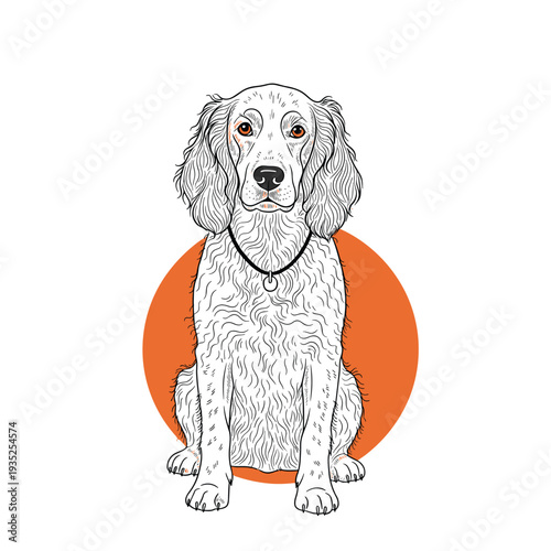 Frontal view of a beautiful English Setter dog with long white fur and spots sitting against an orange circular background.