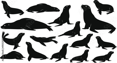 Seal silhouette collection, marine animal poses, ocean wildlife vector icons, aquatic mammal design artwork, black and white illustration set