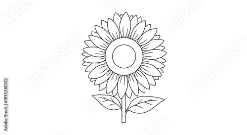 Bright Sunflower with Detailed Petals and Center on an Isolated White Background