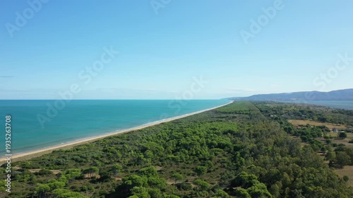 Wallpaper Mural Drone shot of the lush green forest and long sandy beach along the Isola Varano nature reserve in Italy, with turquoise sea and clear blue sky. Torontodigital.ca