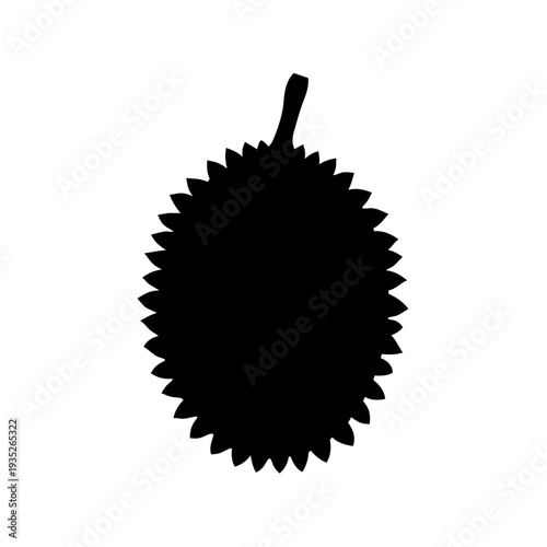 Silhouette of a spiky durian fruit with stem against a white backdrop