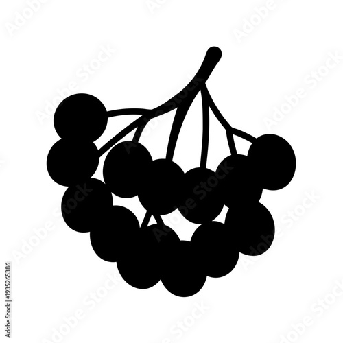 Black silhouette vector of a cluster of rowan berries with stem