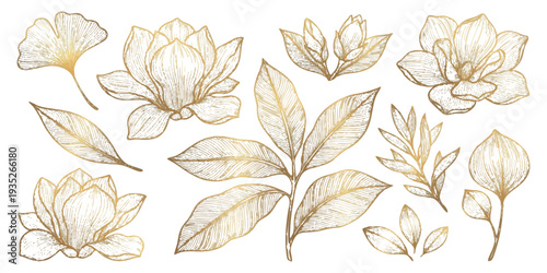 Elegant gold line art botanical set with magnolia flowers and ginkgo leaves vector illustration.
