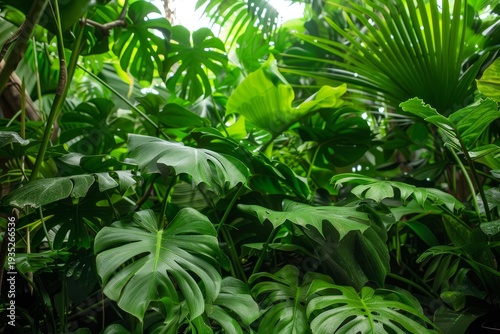 Lush tropical plants growing in greenhouse, abundance of greenery creates vibrant atmosphere