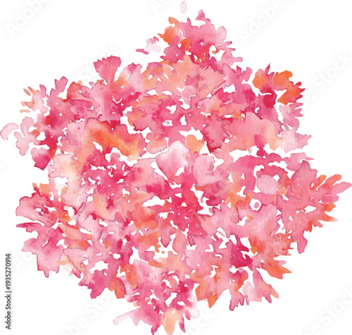 水彩画。水彩タッチのカーネーションベクターイラスト。母の日のカーネーションフレーム素材。Watercolor painting. Watercolor carnation vector illustration. Carnation frame material for Mother's Day.