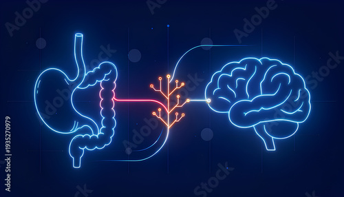 Gut Microbiome Connection to Brain Health