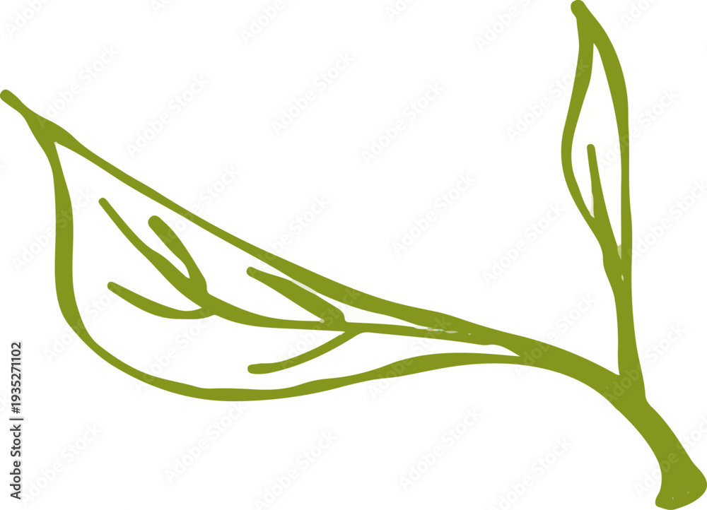 Fototapeta premium set of whimsical hand drawn leaves, grass, tree, bush clipart collection