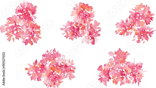 水彩画。水彩タッチのカーネーションベクターイラスト。母の日のカーネーションフレーム素材。Watercolor painting. Watercolor carnation vector illustration. Carnation frame material for Mother's Day.