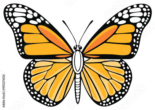 Vibrant Monarch Butterfly with Orange and Black Wings and White Spots Isolated
