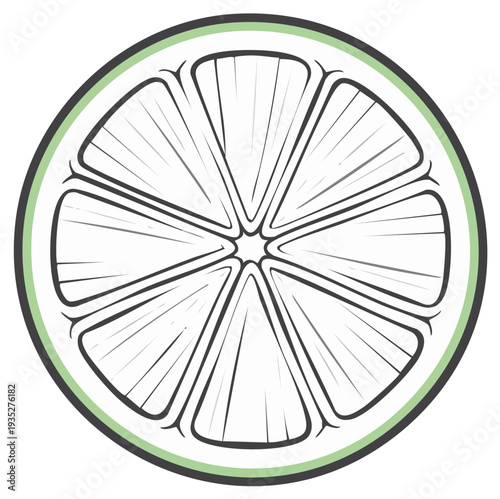 Fresh Lime Slice Illustration Detailed Line Art and Simple Green Outline