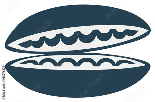 Opened clam shell vector illustration displaying inner pearl like elements